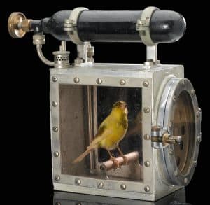 Culture, Performance & Engagement : canary in coal mine cage resuscitator